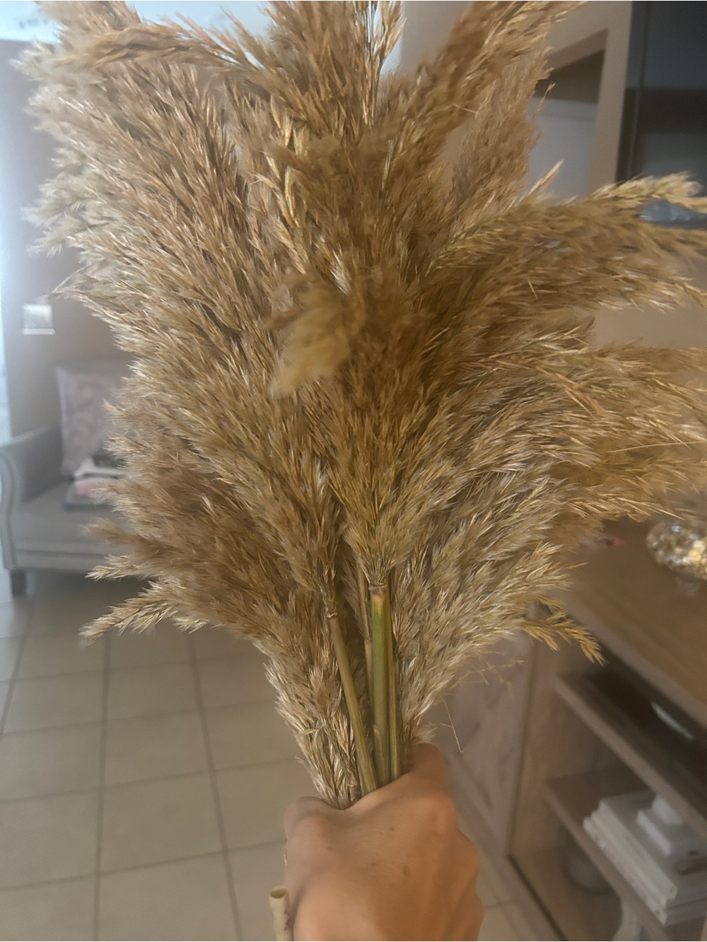 Pampas Grass Arrangement in Brown